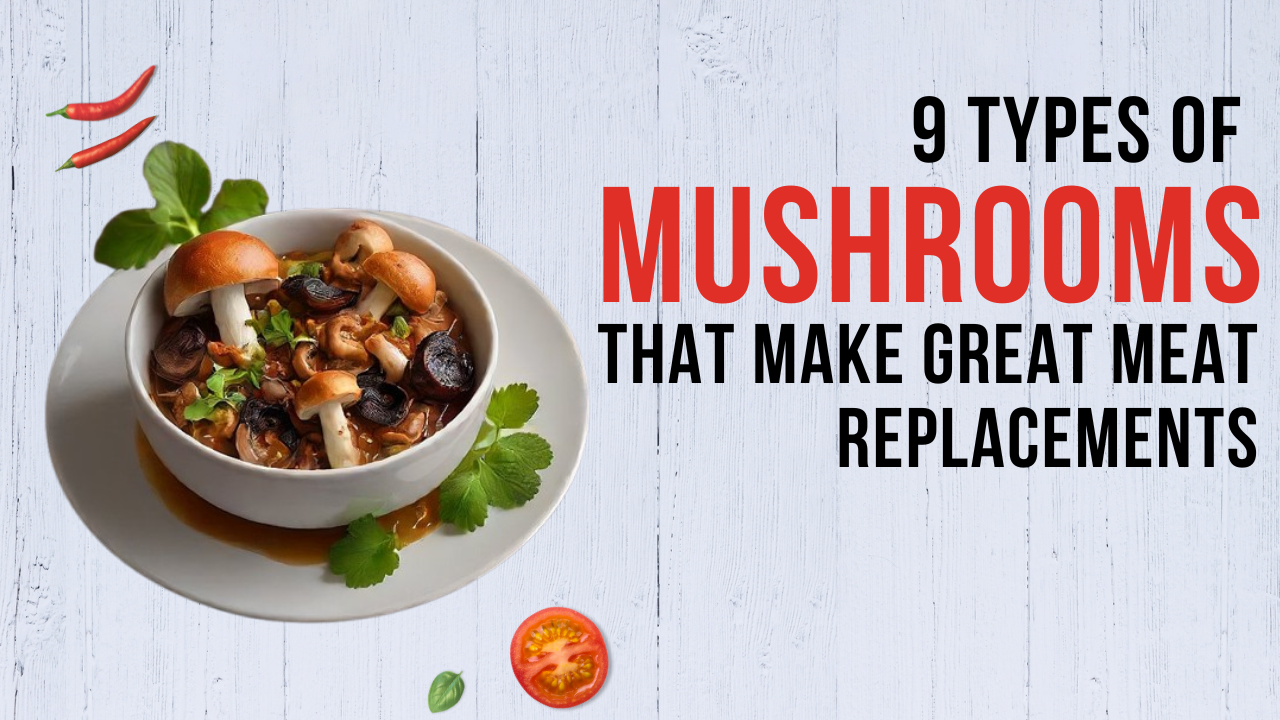 9 Types of Mushrooms That Make Great Meat Replacements