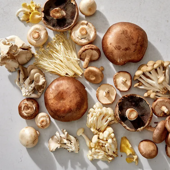 9 Types of Mushrooms That Make Great Meat Replacements