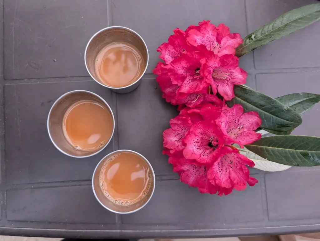buransh tea
