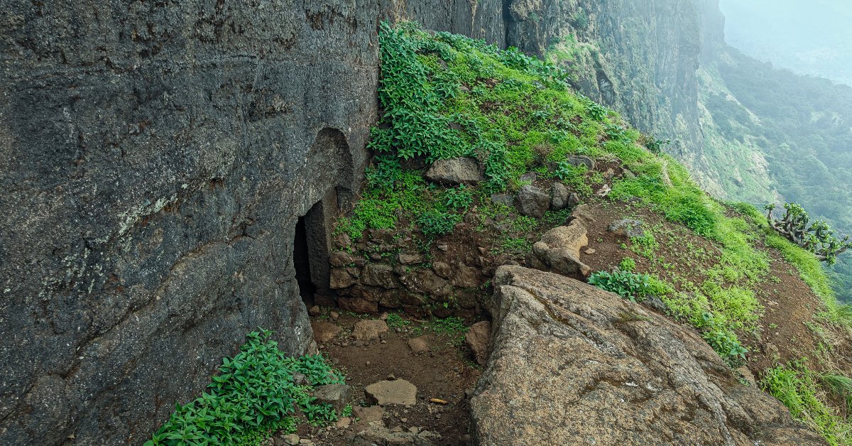 Brahmagiri & Bhandardurg Trek in Nashik