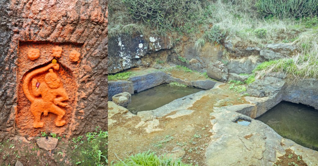 Brahmagiri & Bhandardurg Trek in Nashik