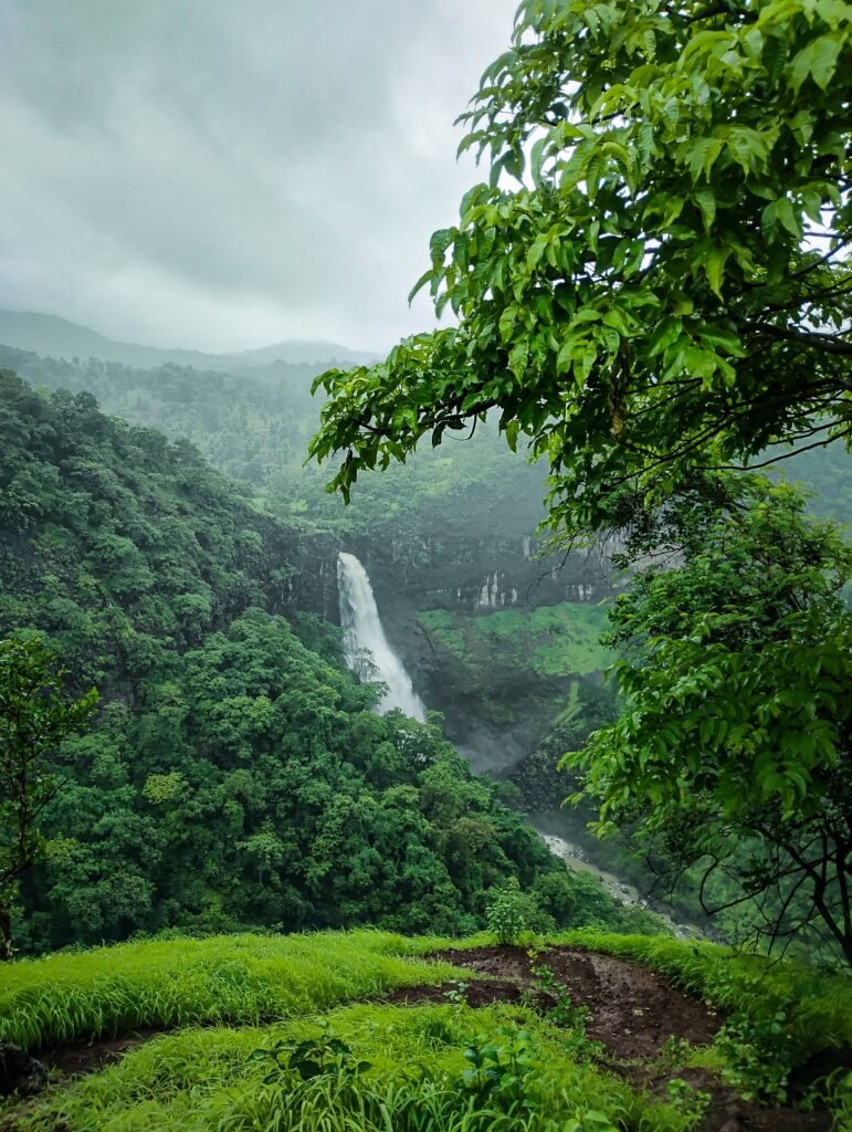 Dugarwadi Waterfall Trimbakeshwar Nashik: Your Ultimate Guide to a Monsoon Adventure 1 Dugarwadi Waterfall Trimbakeshwar Nashik
