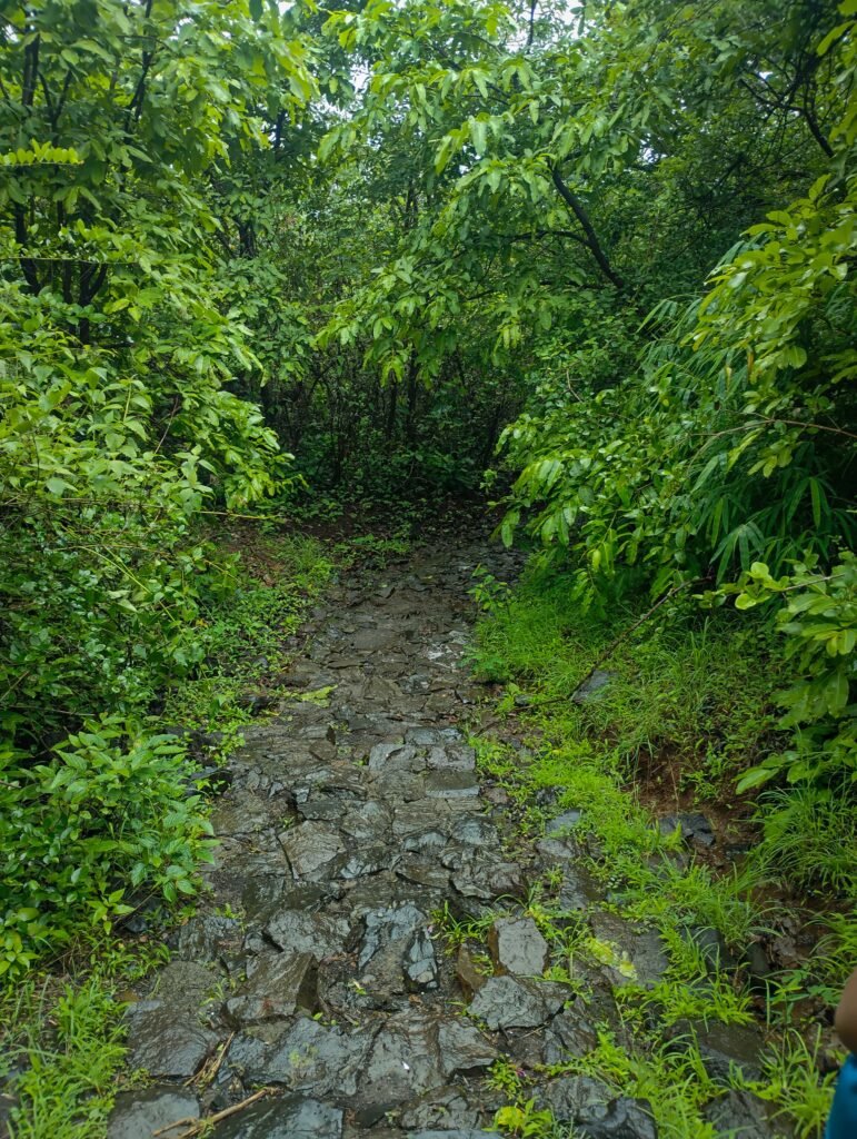 Dugarwadi Waterfall Trimbakeshwar Nashik: Your Ultimate Guide to a Monsoon Adventure 3 Dugarwadi Waterfall Trimbakeshwar Nashik