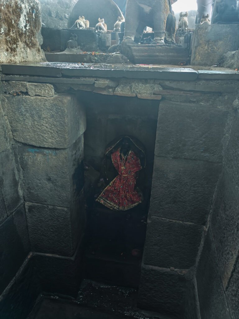 Brahmagiri & Bhandardurg Trek in Nashik
