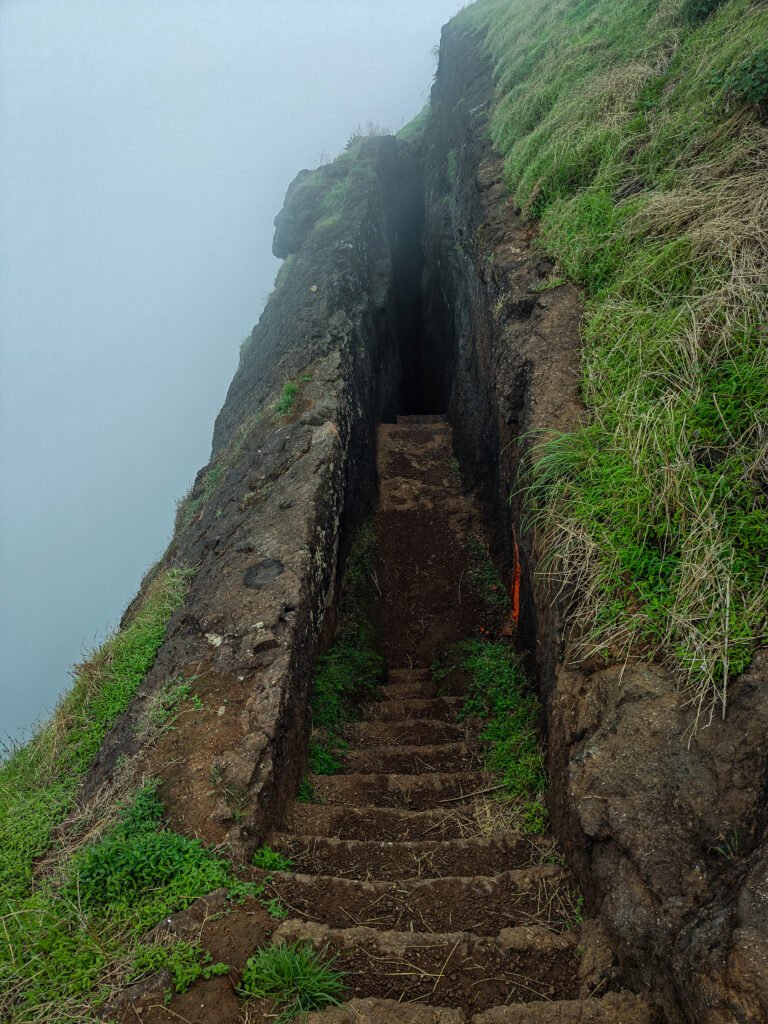 Brahmagiri & Bhandardurg Trek in Nashik