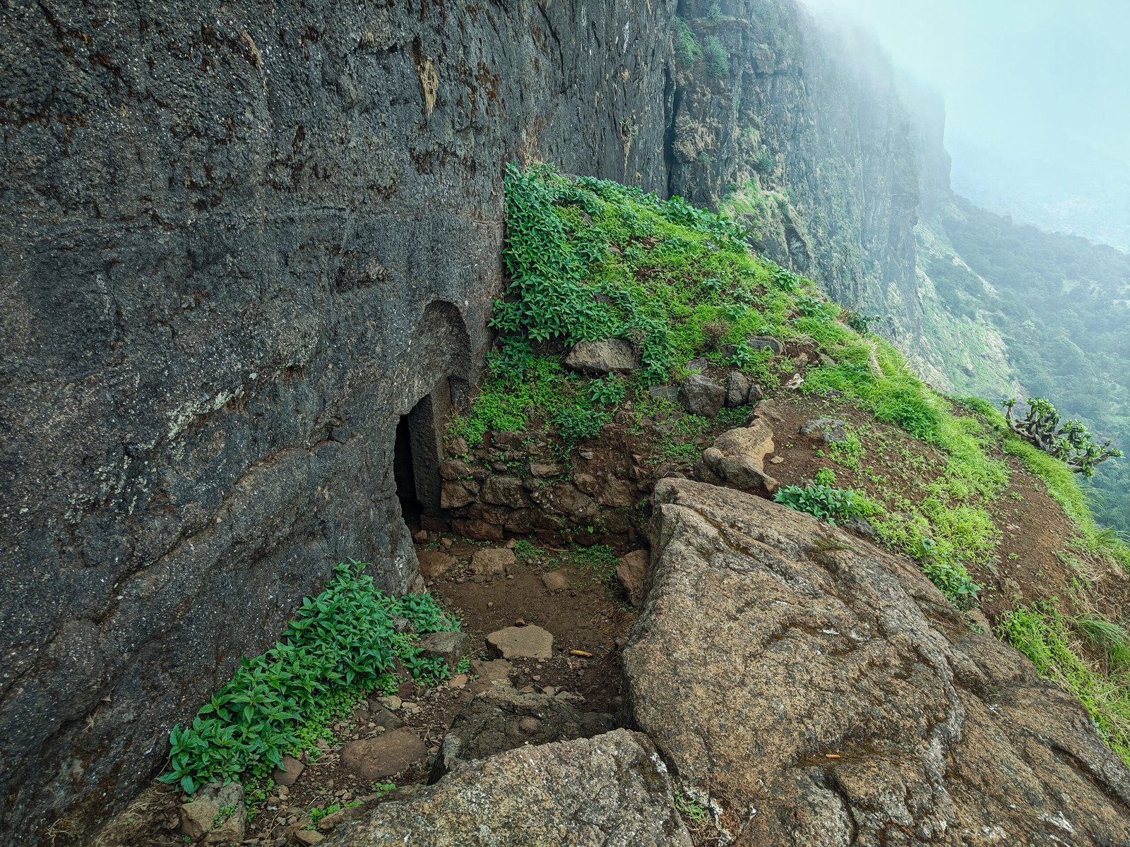 Brahmagiri & Bhandardurg Trek in Nashik