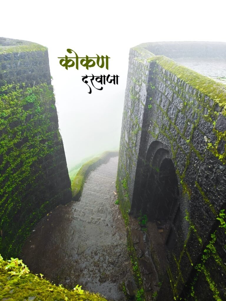 Torna Fort Adventure: Trek Through Monsoon Magic and Maratha Legacy! 5 Torna Fort