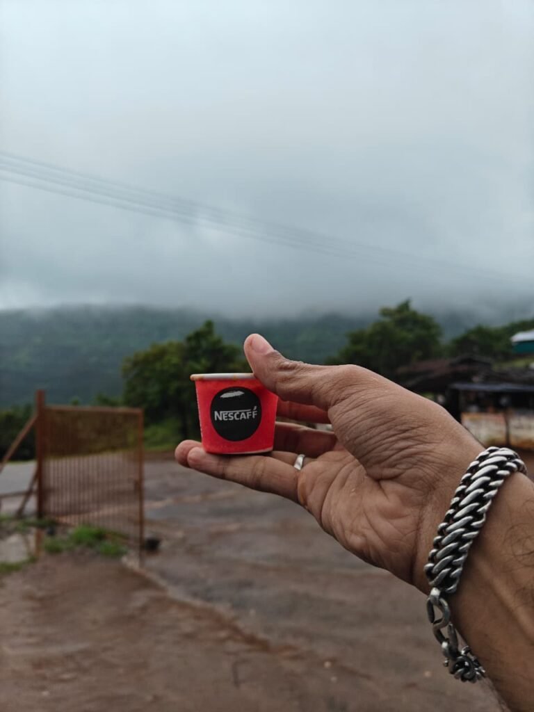 Torna Fort Adventure: Trek Through Monsoon Magic and Maratha Legacy! 7 Torna Fort