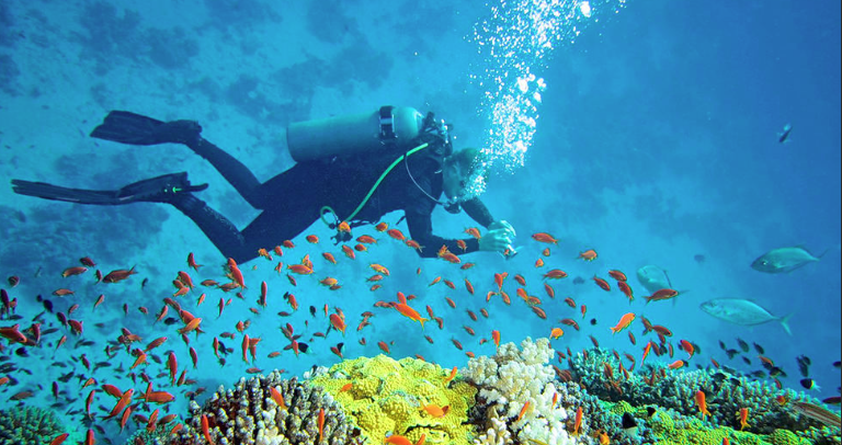 Andaman and Nicobar Travel Guide: Your Ultimate Blueprint for a Tropical Adventure 2 Andaman and Nicobar Travel GuideAndaman and Nicobar Travel Guide