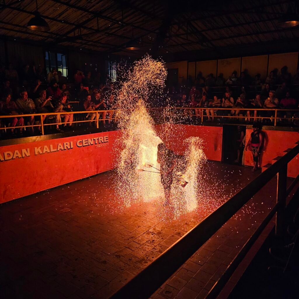 Things to Do in Thekkady: Your Ultimate Adventure Guide to Kerala’s Wild Heart 2 Kalaripayattu Show