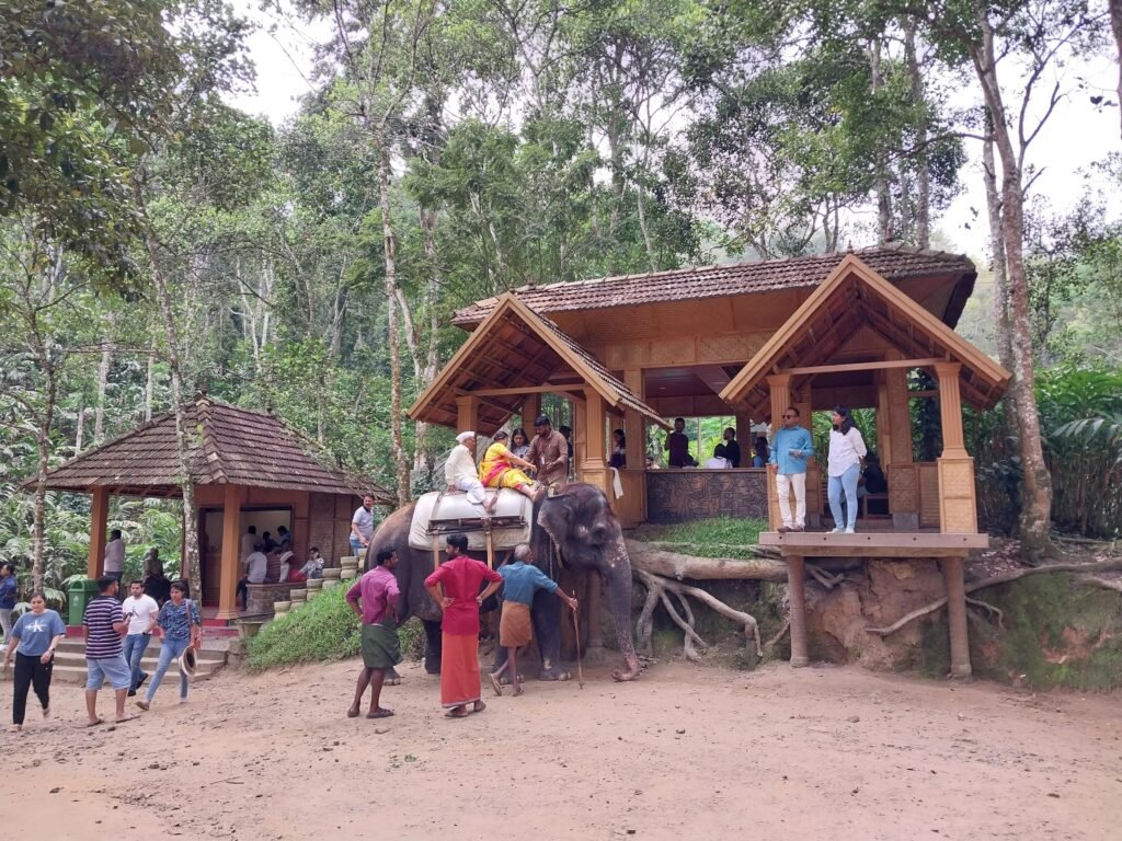 Things to Do in Thekkady: Your Ultimate Adventure Guide to Kerala’s Wild Heart 1 Thekkady