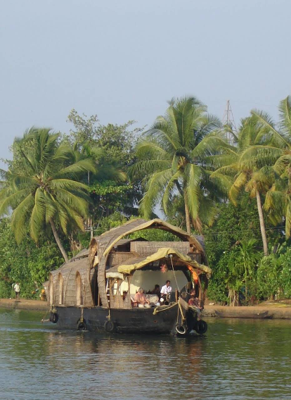 Things to Do in Thekkady: Your Ultimate Adventure Guide to Kerala’s Wild Heart 4 Thekkady boat